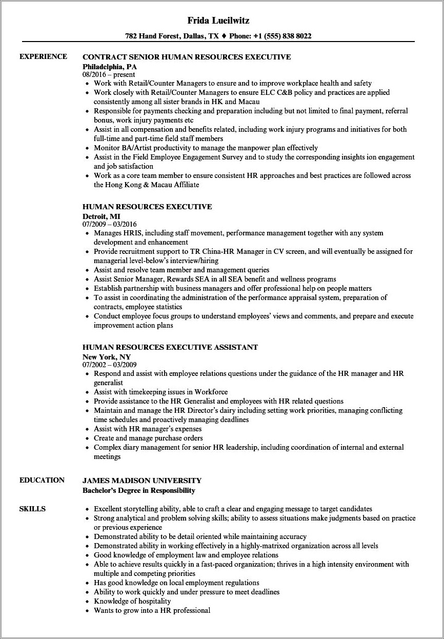 Examples Of Human Resources Vice President Resume