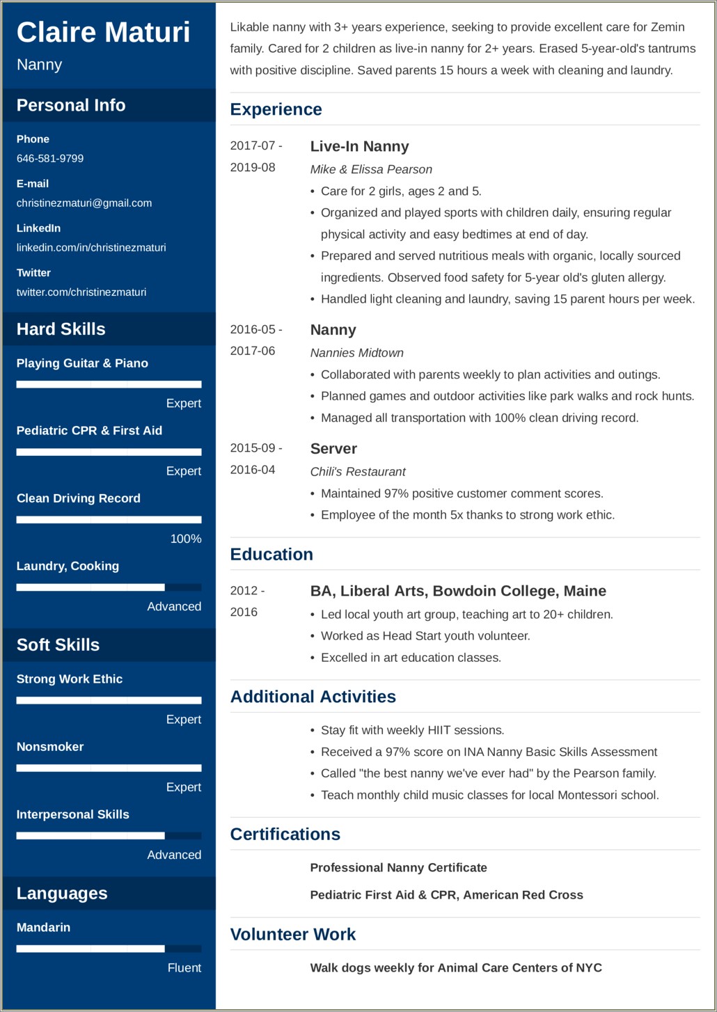 Examples Of Personal Profiles On Resumes For Nanny