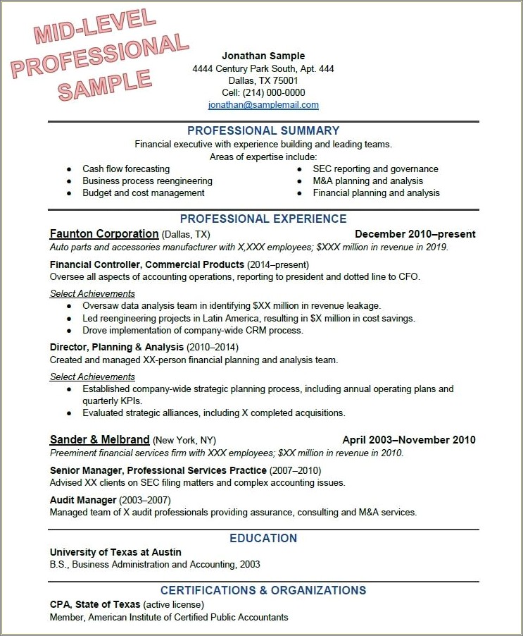 Examples Of Profesional Summary For Resume