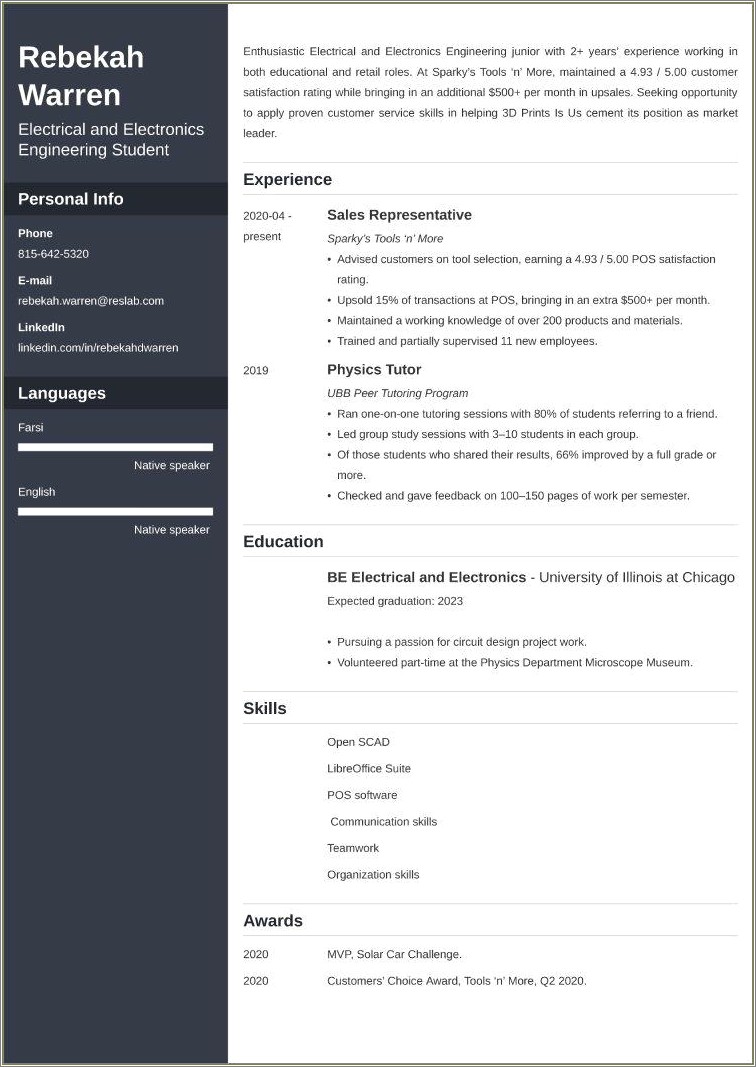 Examples Of Professional Resumes For College Students