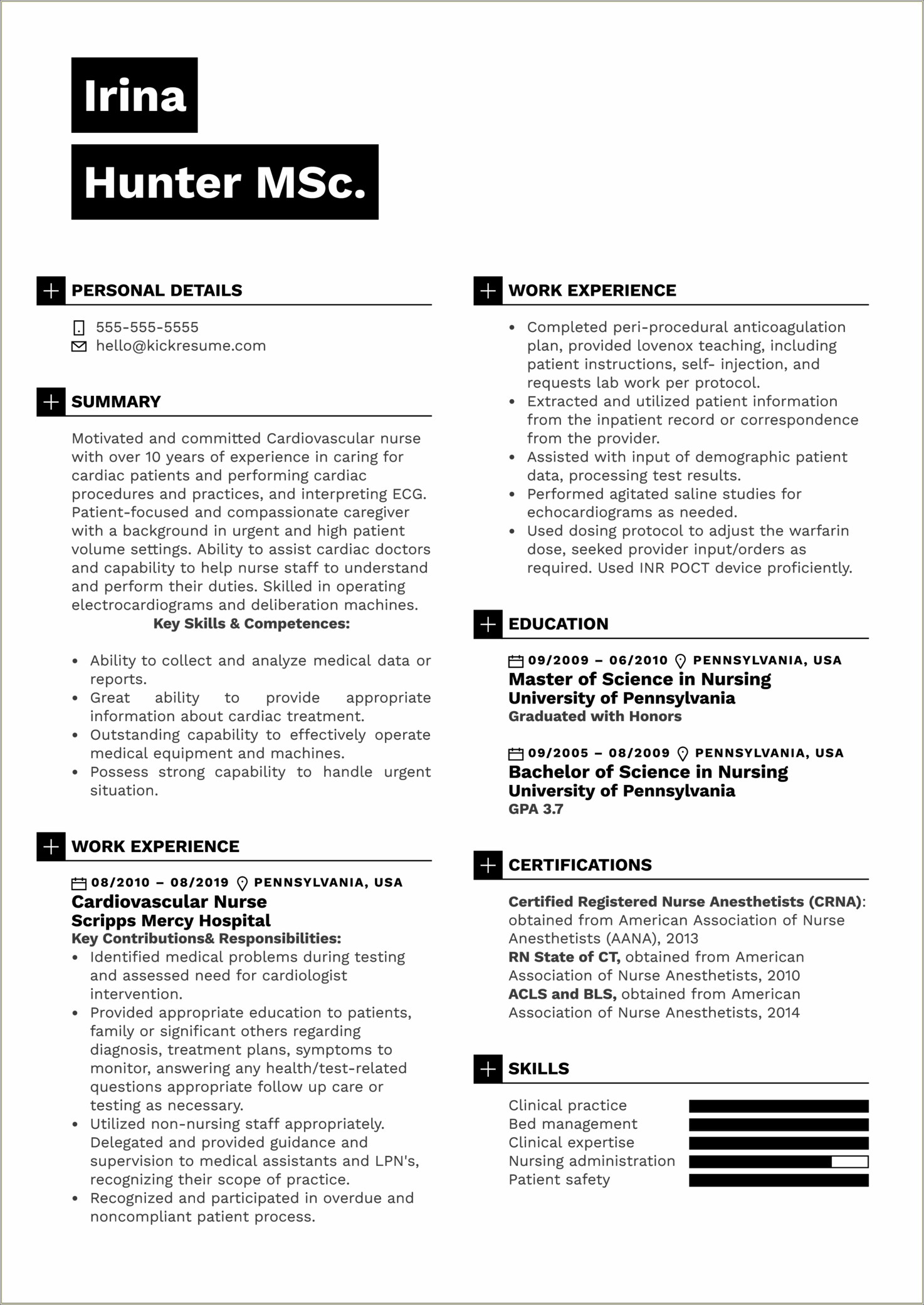 Examples Of Professional Resumes For Nurses