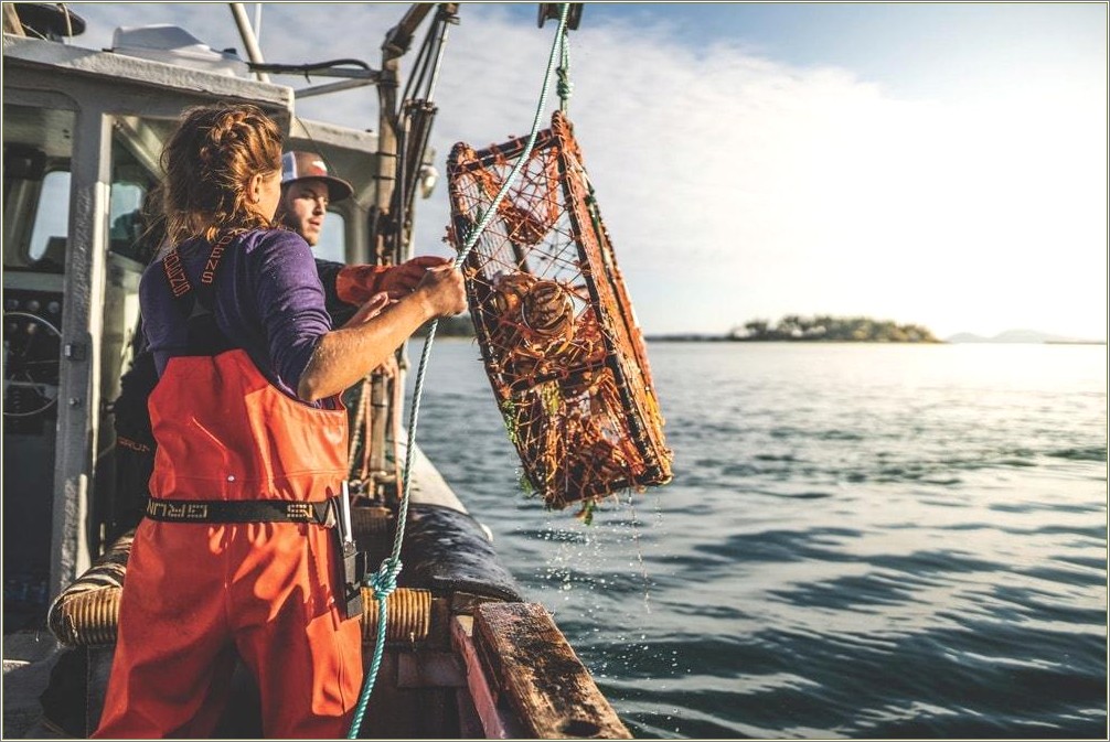 Examples Of Resume For Commercial Fisherman