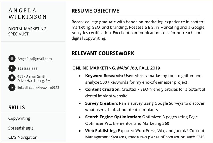 Examples Of Resume For No Previous Work History