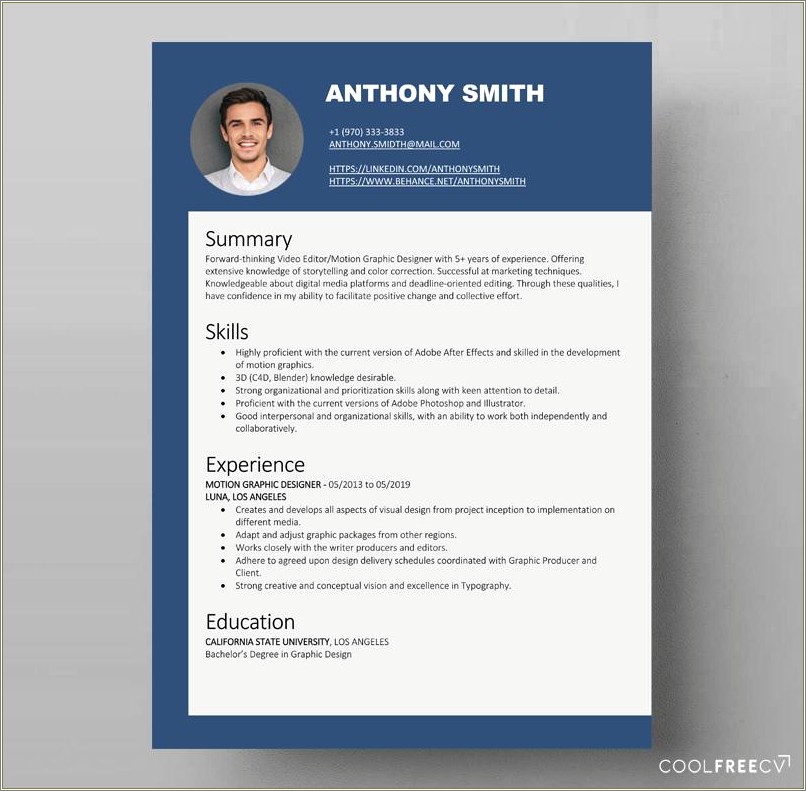 Examples Of Resume Summary For Editors