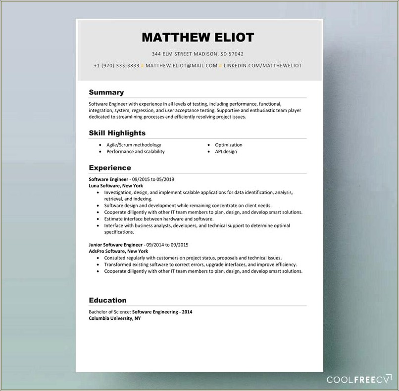 Examples Of Resumes For Engineer