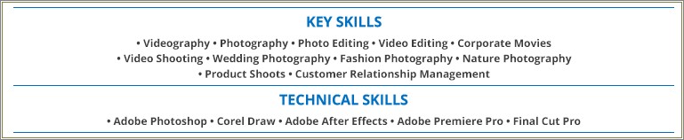 Examples Of Summaries In Photographer Resumes