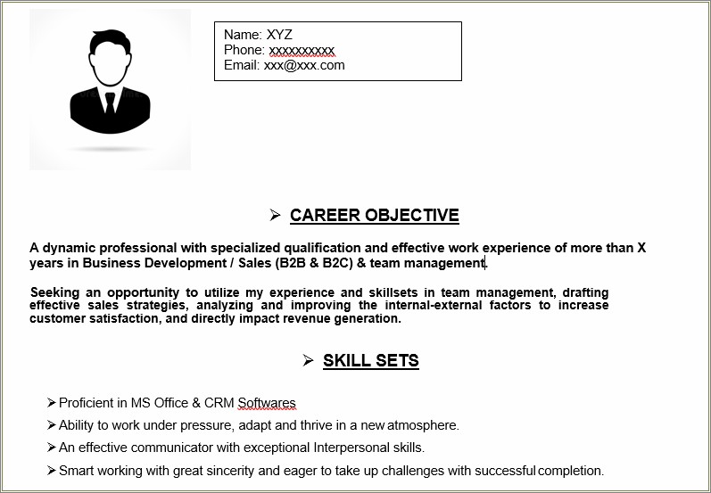 Excellent Sales Objective Career Statement For Resume