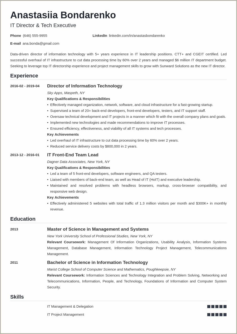 Executive Summary Resume Example Template Information Technology