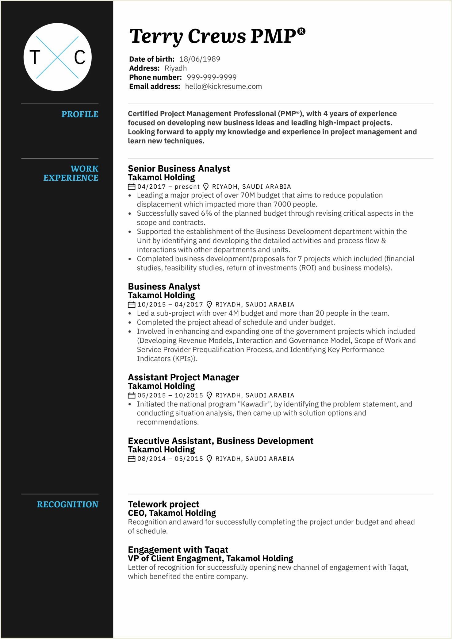 Experience Summary In Resume For Project Manager