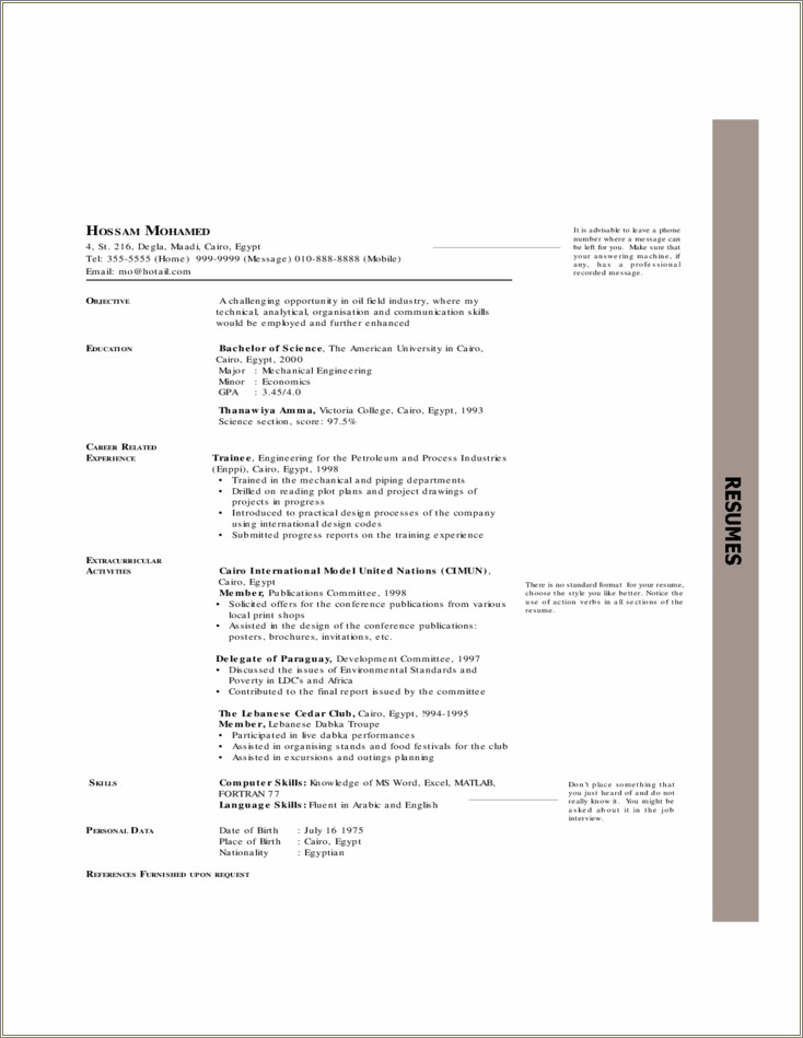 Free Chronological Resume Templates To Download