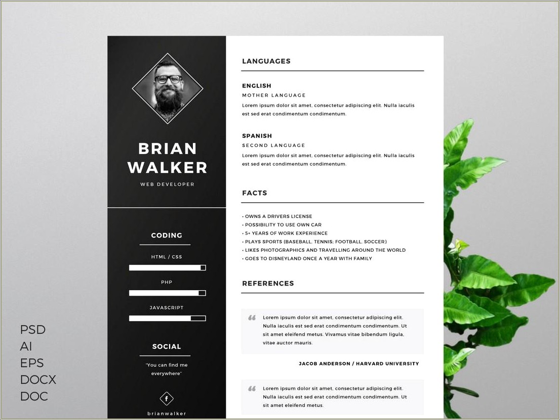 Free Creative Resume Template For Word
