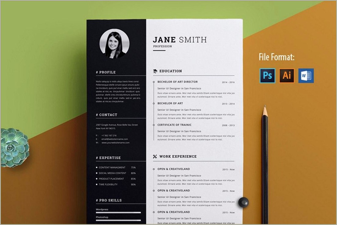 Free Customer Service Resume Templates For Word
