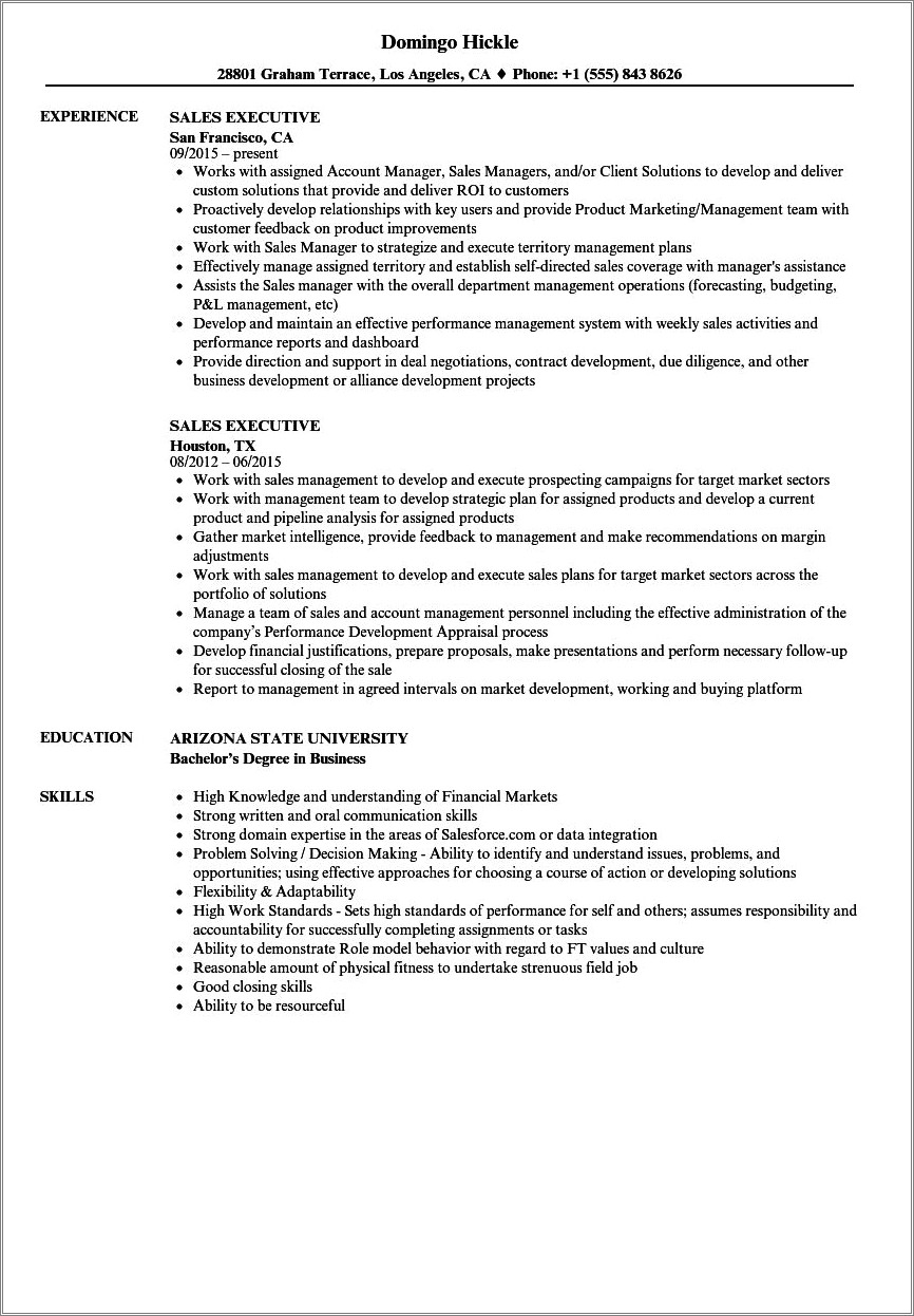 Free Download Resume Format For Sales Executive