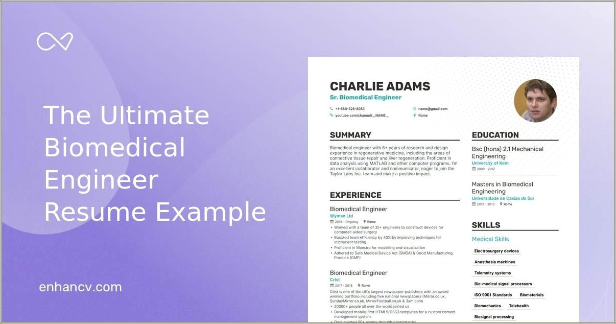 Free Download Resume Templates For Word Biological Engineer