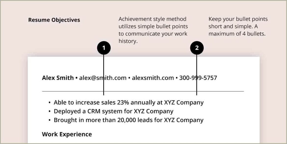 Free Examples Of Resume Objective Statements