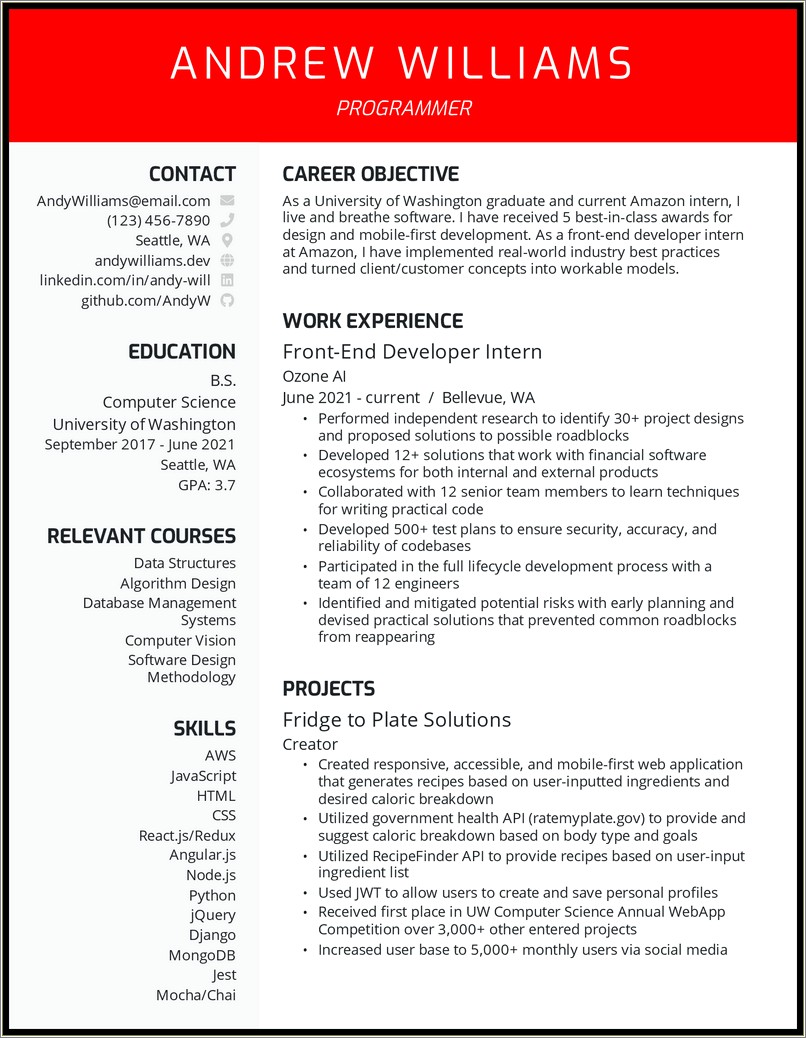 Free Eye Catching Resume Layout For Computer Coder