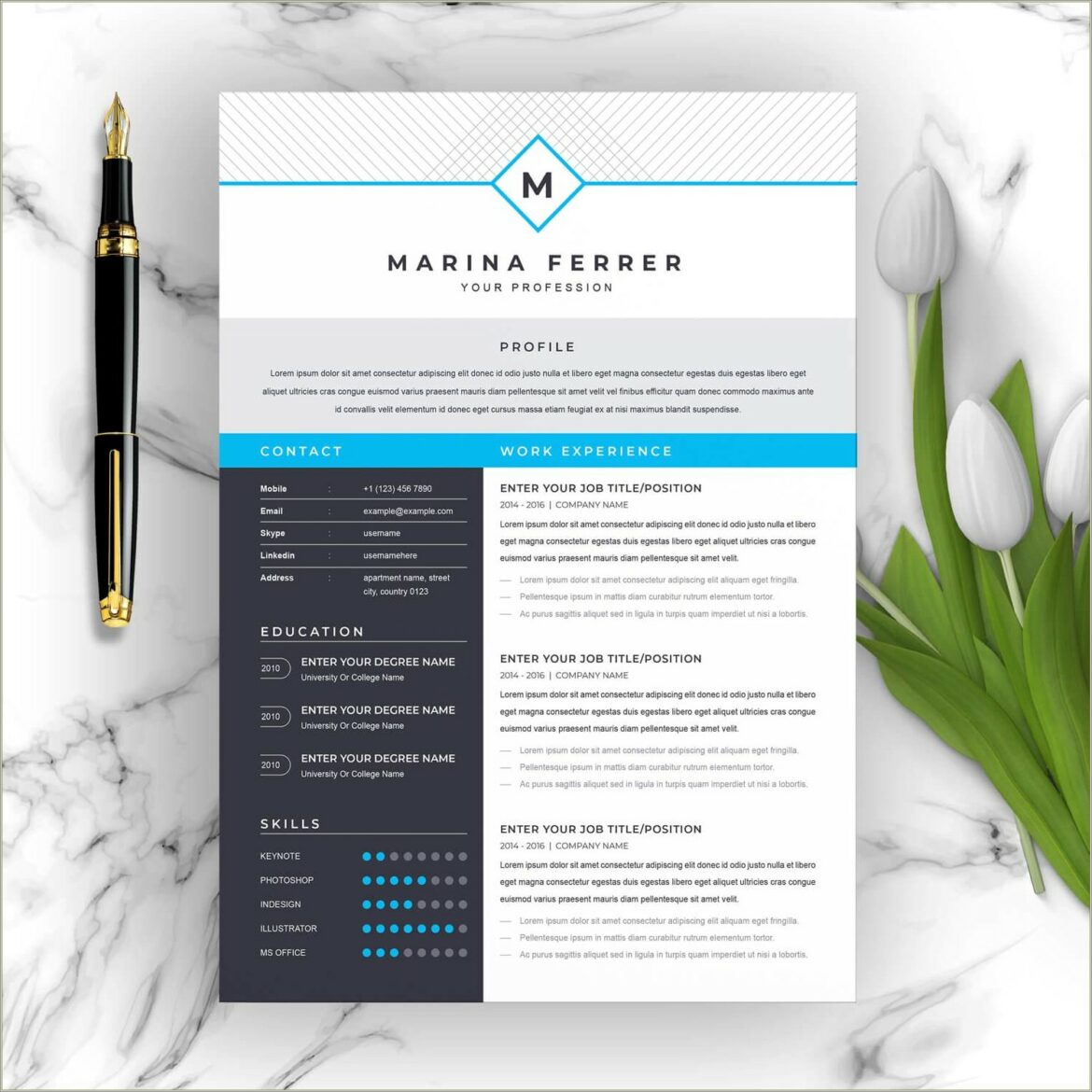 Free Mac Pages Resume Templates Download