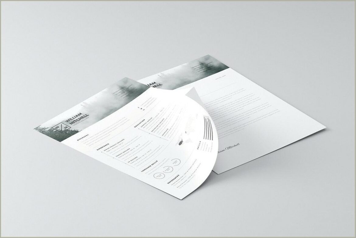 Free Minimalistic And Clean Resume Template