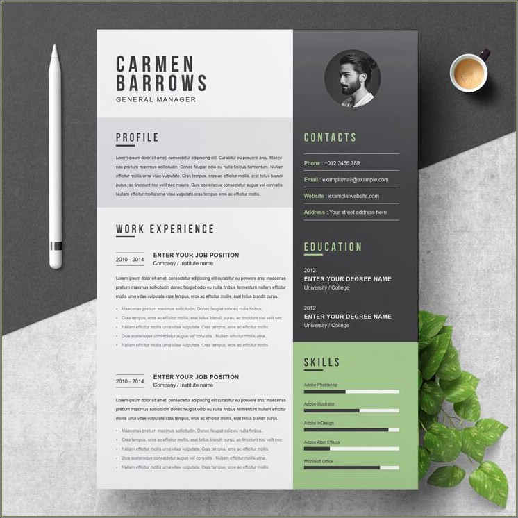 Free Modern Resume Templates For Word Free Download