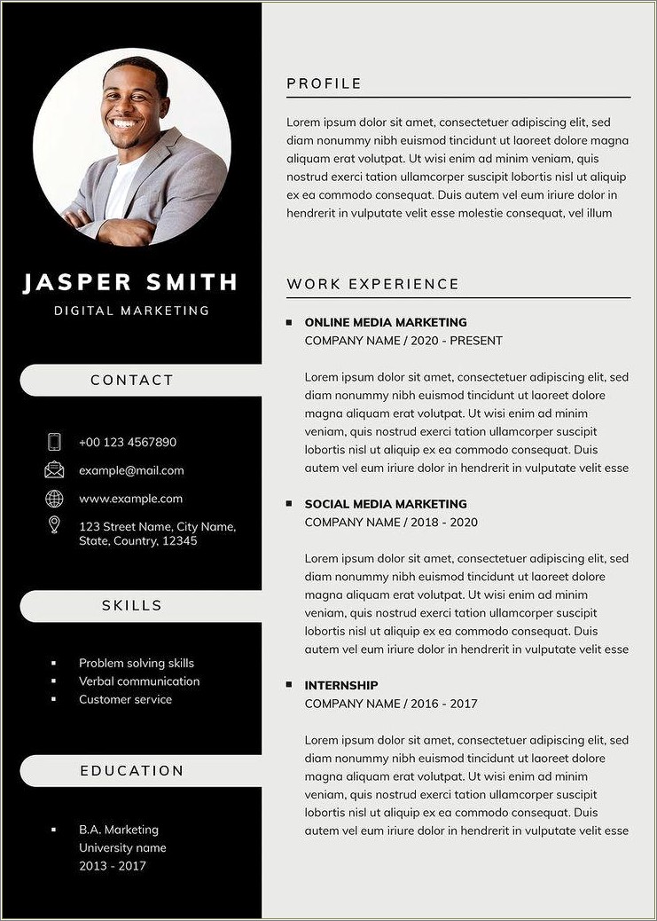 Free Pre Made Business Resume Templates