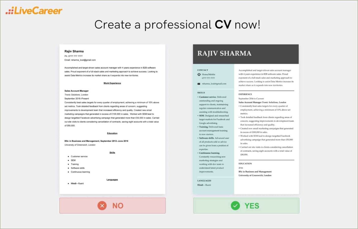 Free Resume Blank Templates Download Pdf