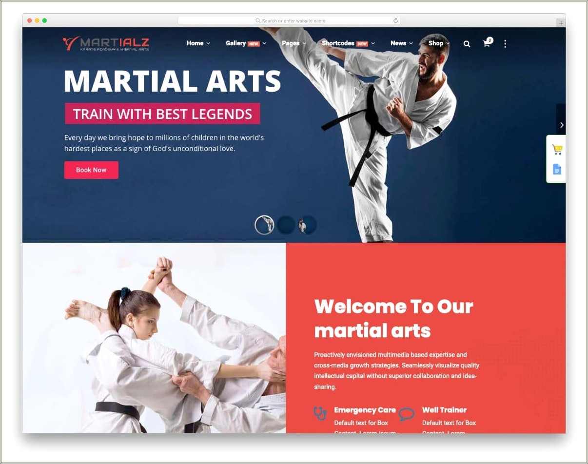 Free Resume Samples For Martial Arts