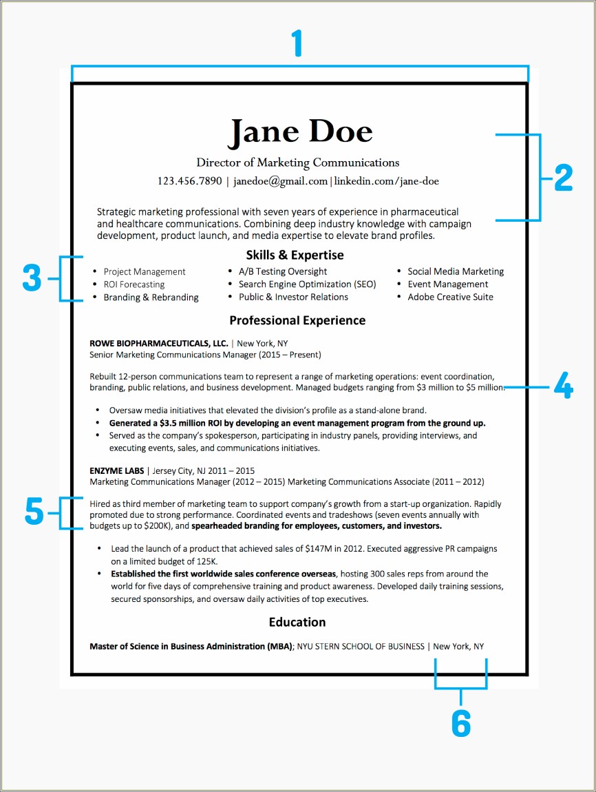 Free Resume Template Downloads For Word Scientist