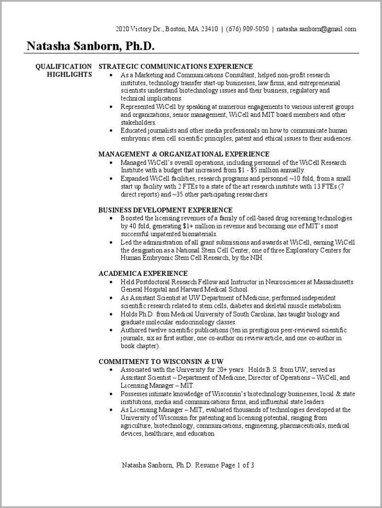 Free Resume Template For Business Development Executive