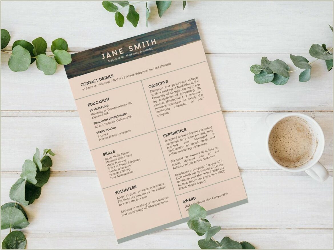 Free Resume Template For No Work Experience