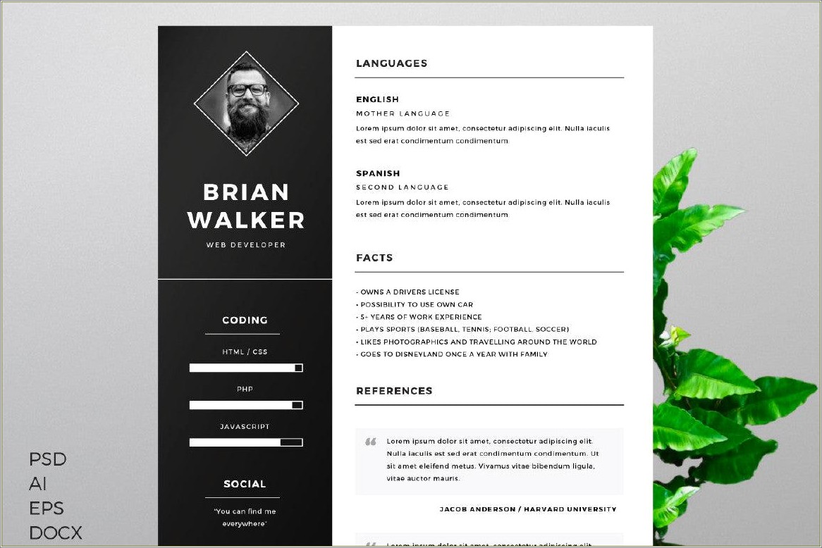 Free Resume Templates For Young Adults
