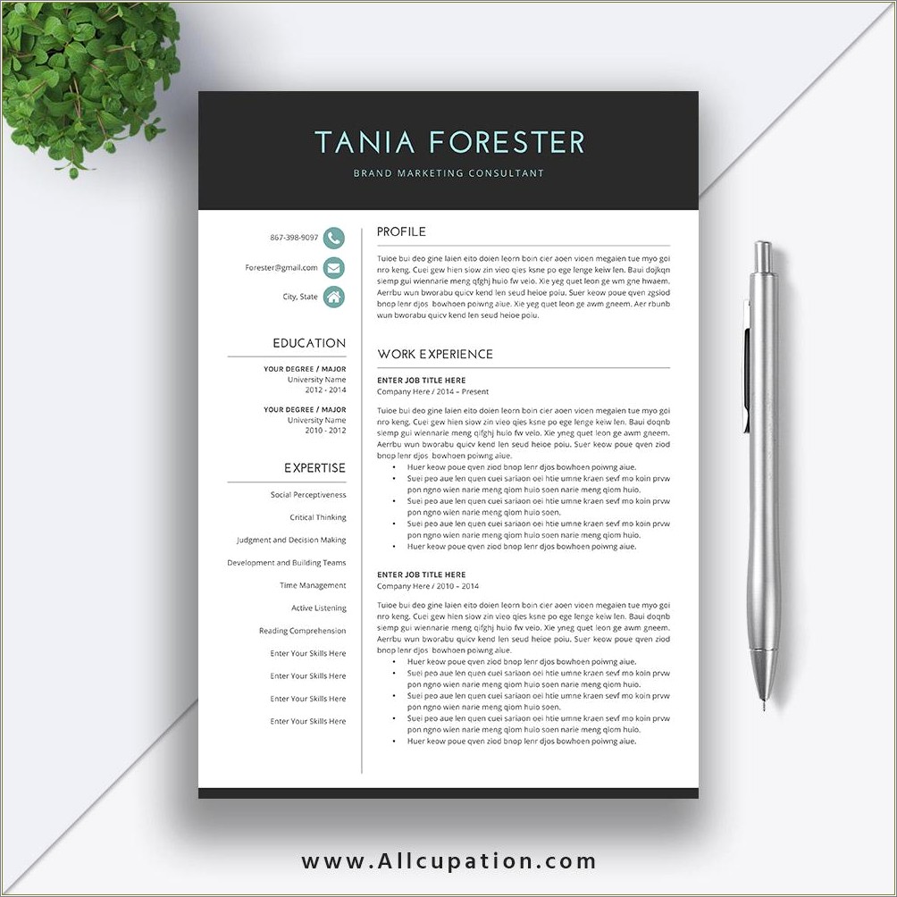 Free Simple Resume Templates For Word