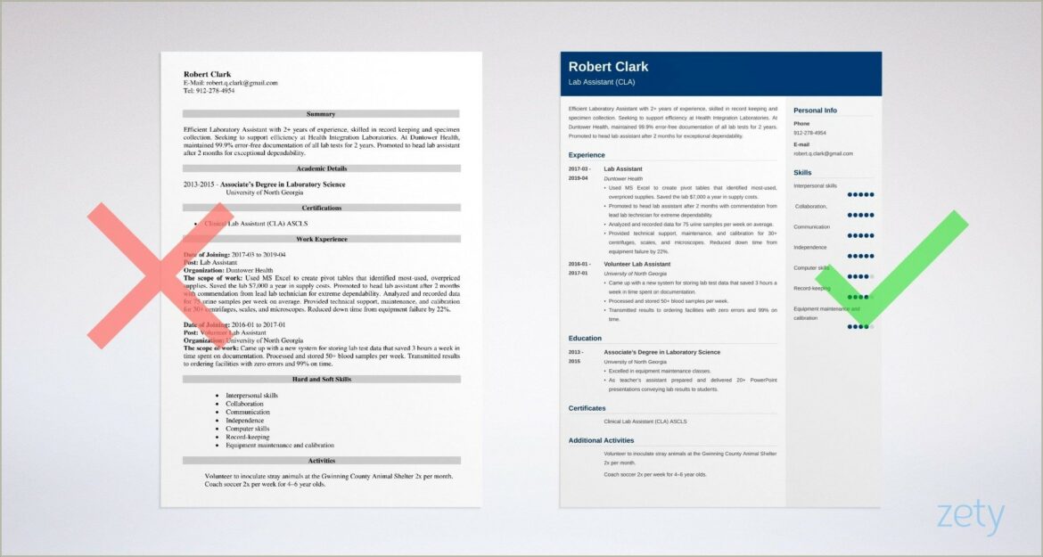 Functional Resume Example For Lab Assistant