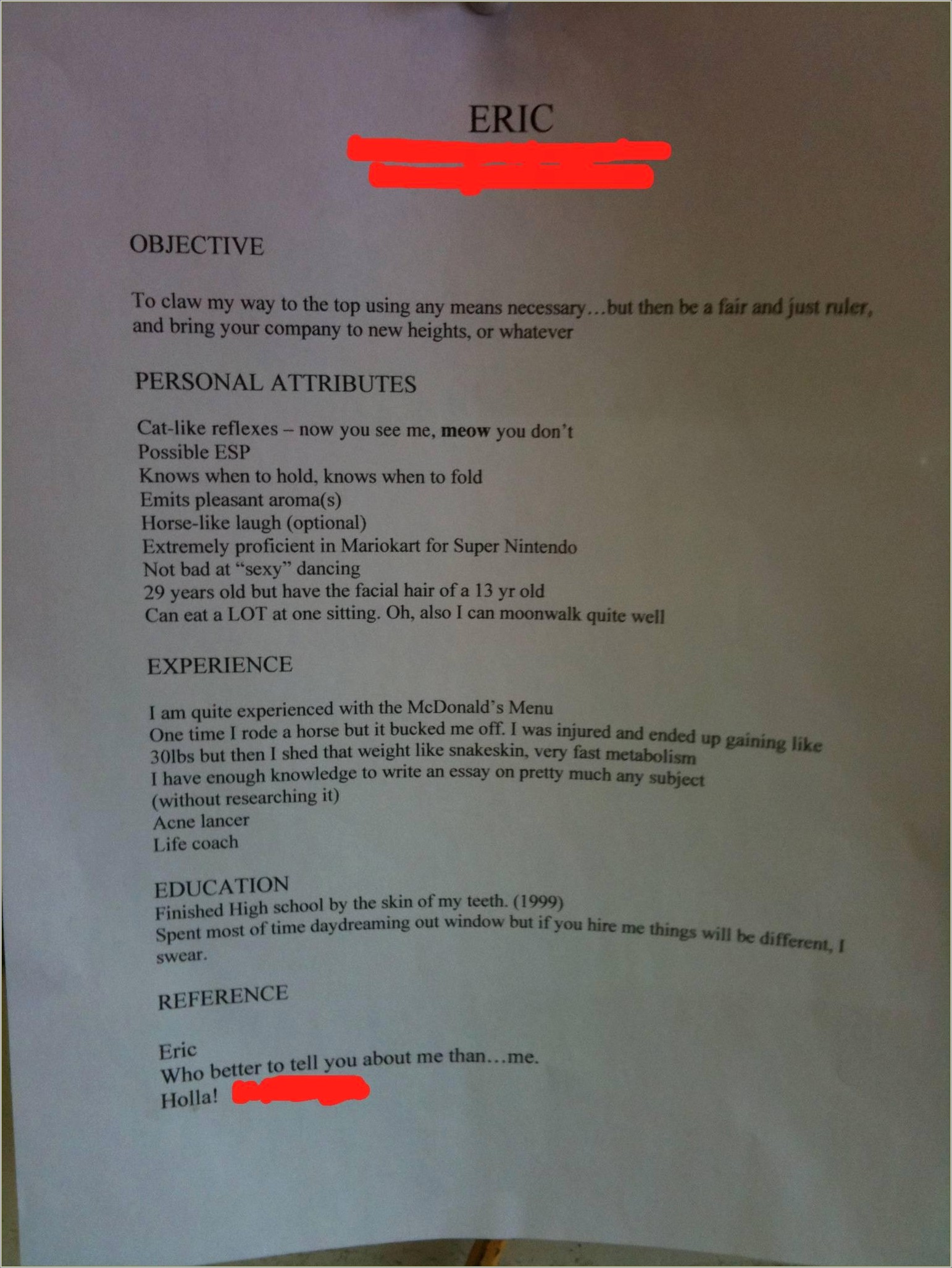 Funny Skills To Have On A Resume