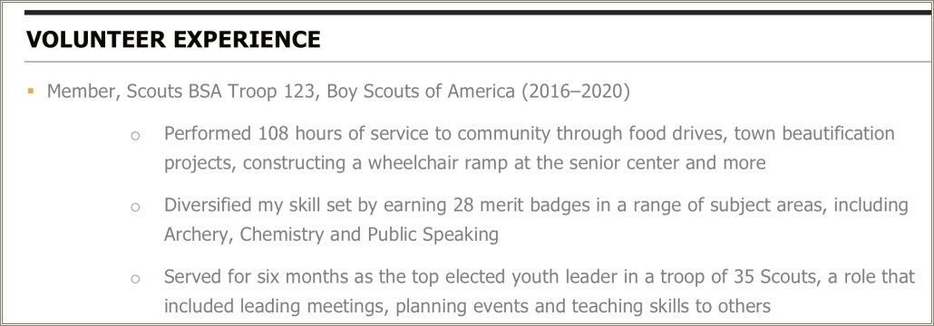 Girl Scout Volunteer Experience On Resume