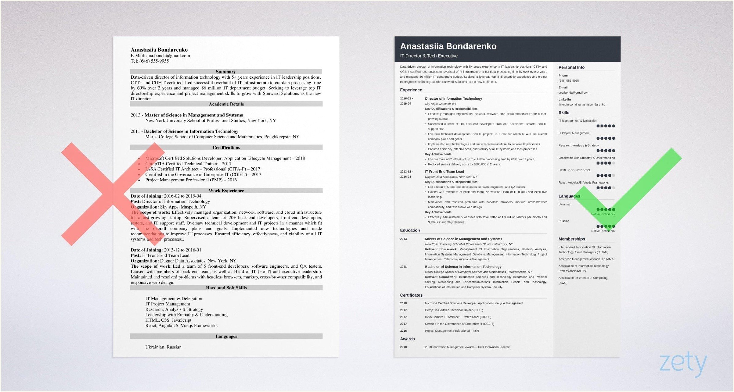 Good Director Of It Summary Resume