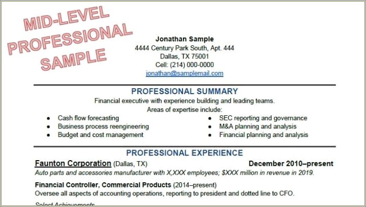 Good Example Of A Professional Resume