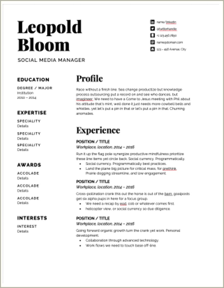Good Examples Of Resumes For Media