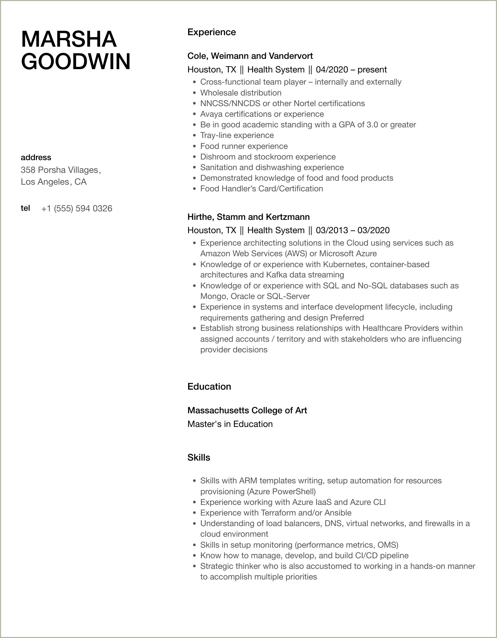 Good Opening Mission Statement Healthcare D Resume