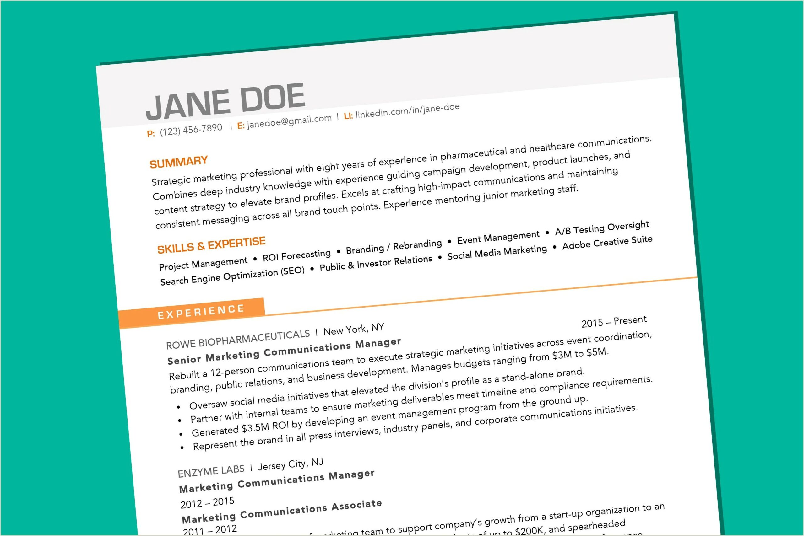 Good Resume Color For Professional Woman