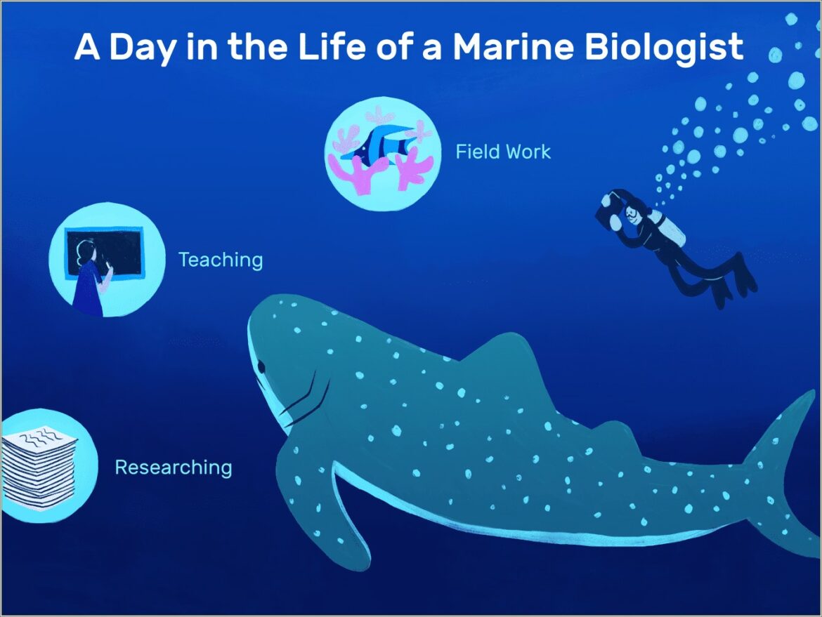 Good Resume Objectives For A Marine Biologist