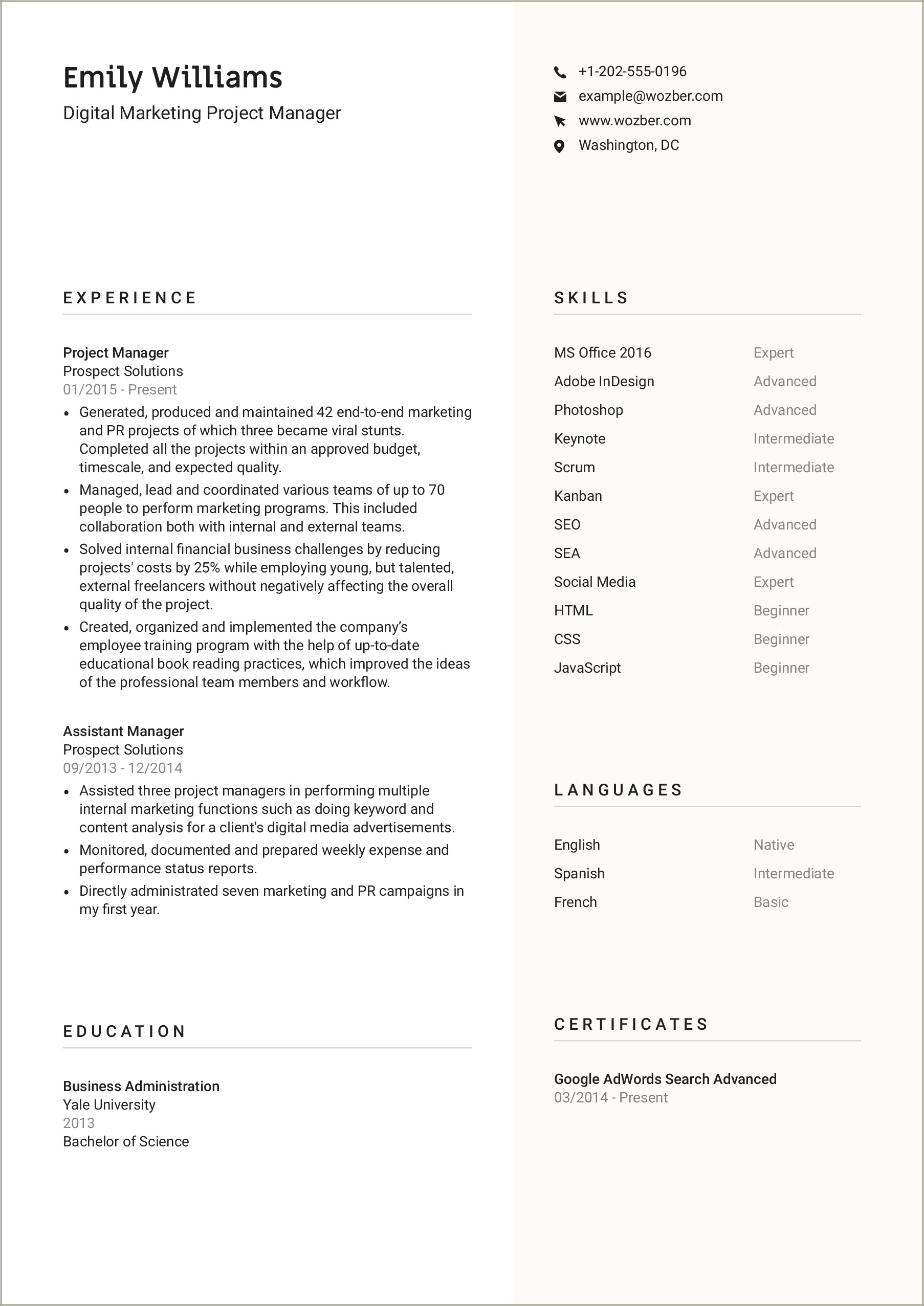 Good Sample Of Project Manager Resume