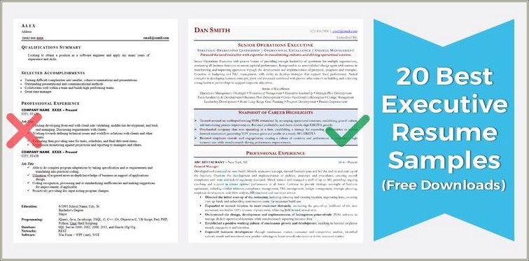 Good Summary On Top For Resume