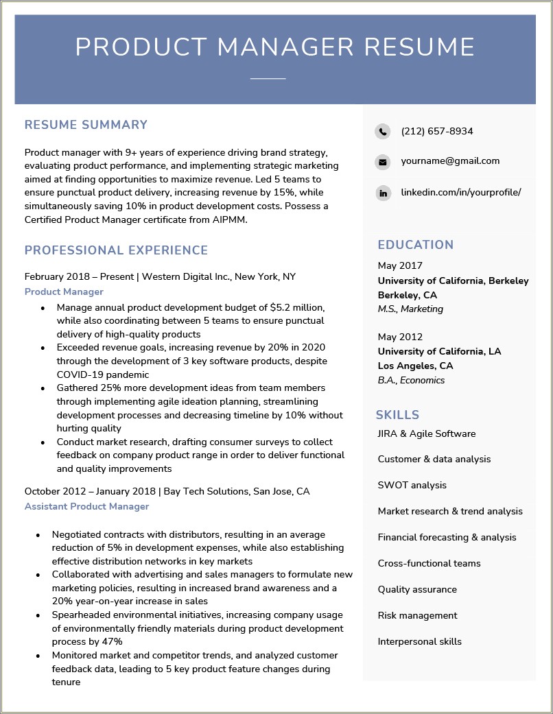 Google Doc Product Manager Resume Template