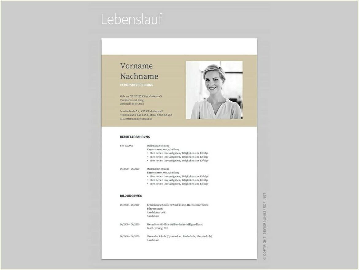 Google Docs Resume Template Free Downaload