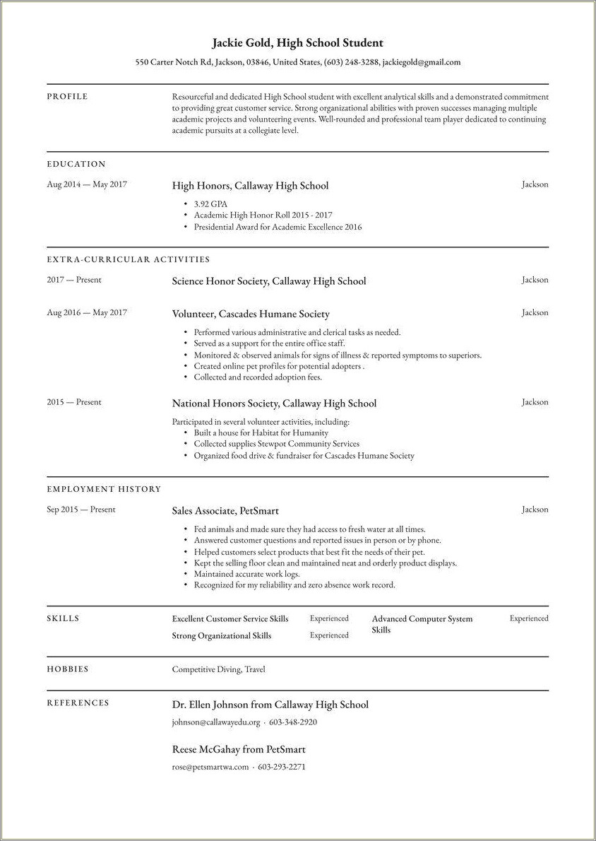 Google Docs Resume Template High School