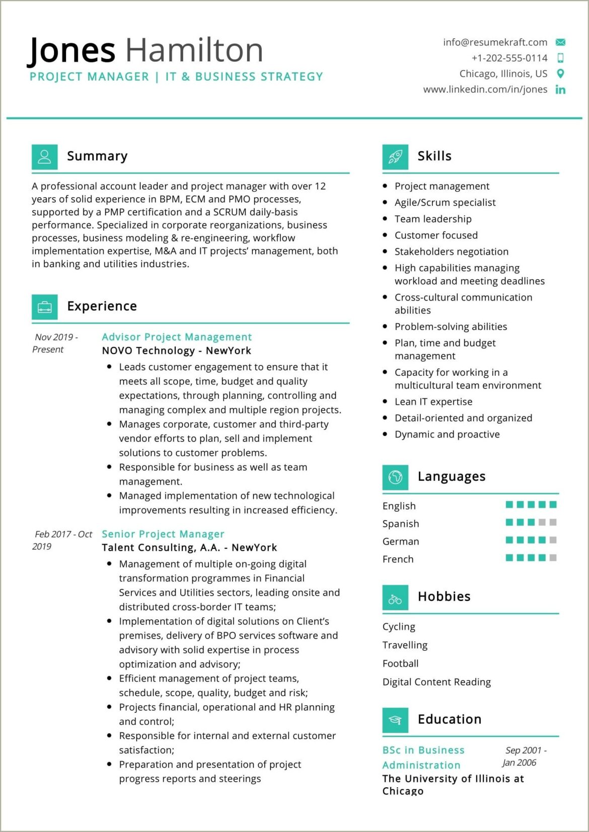 Great Resume Examples Business Strategy Professionals