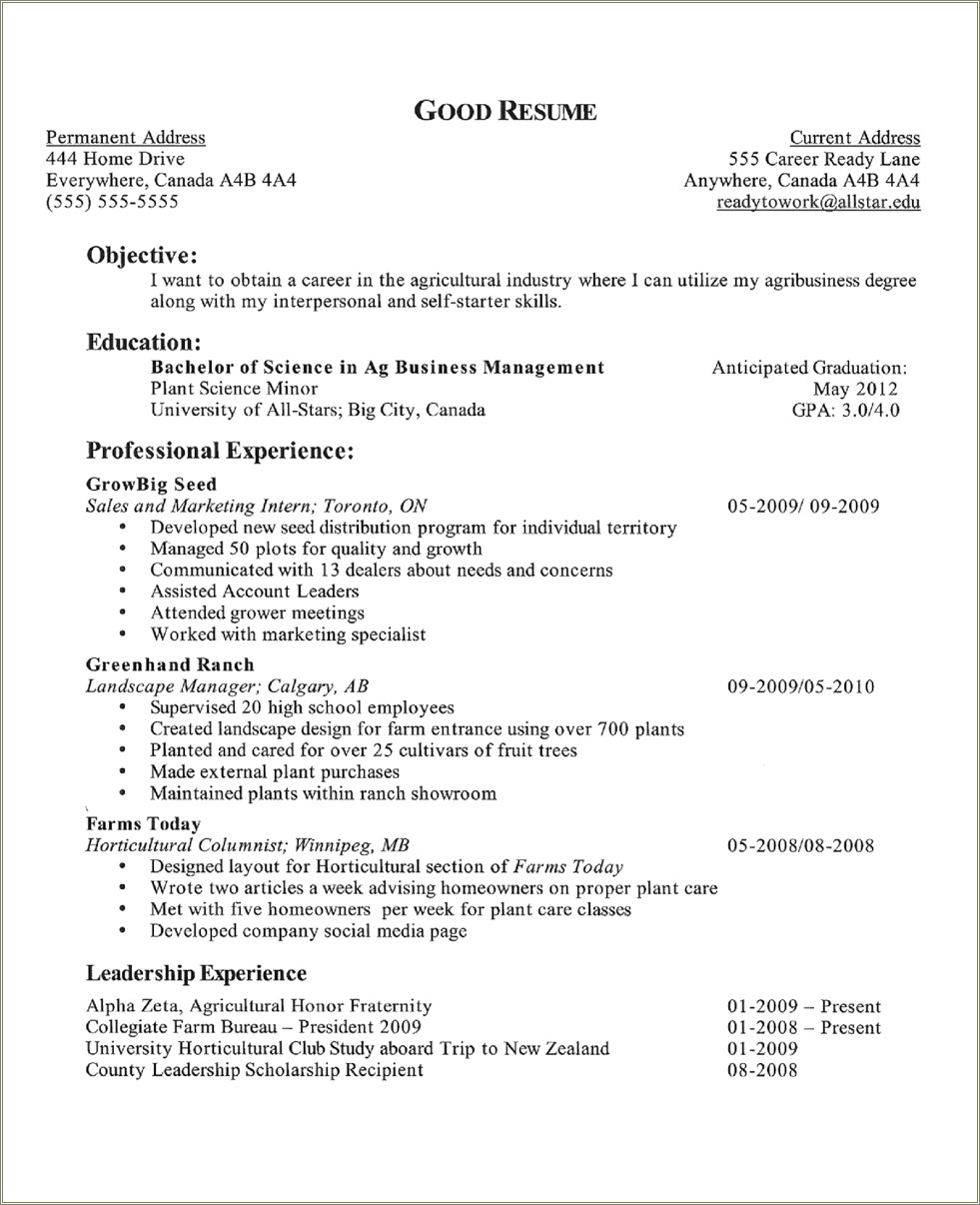 High School Graduate Resume Objective Examples