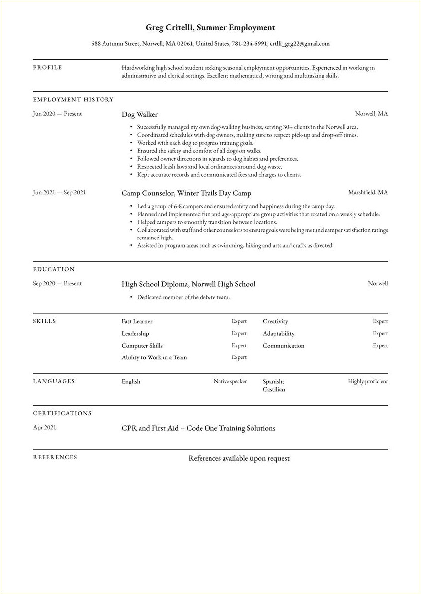 High School Resume Summary Examples For Students