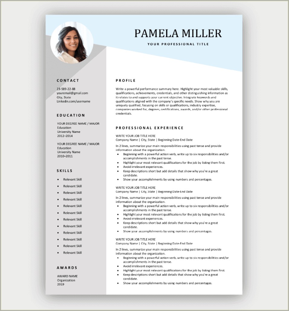 Hr Professional Resume Format In Word