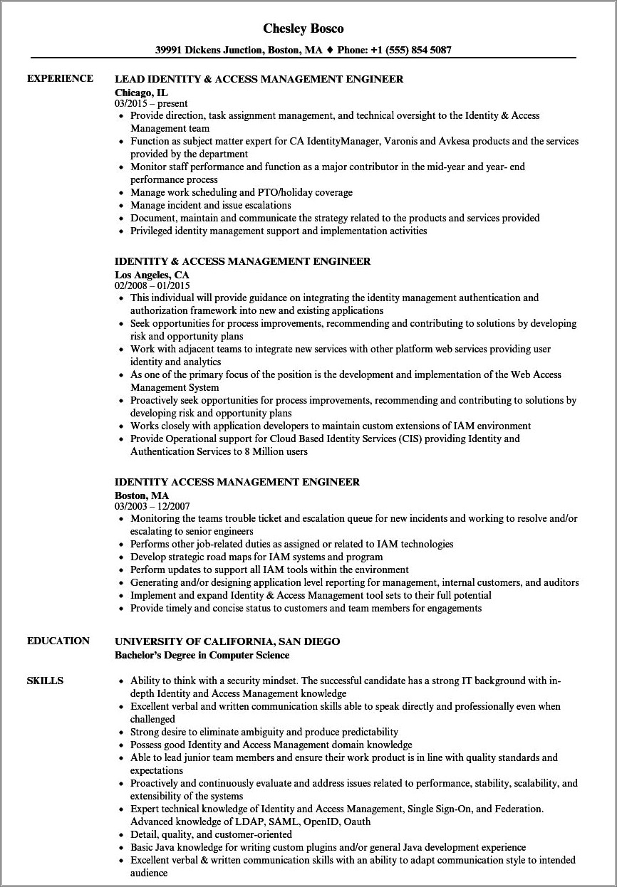 Identity And Access Management Consultant Resume